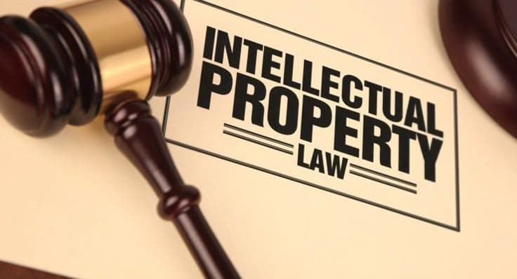 Intellectual Property & Data Protection